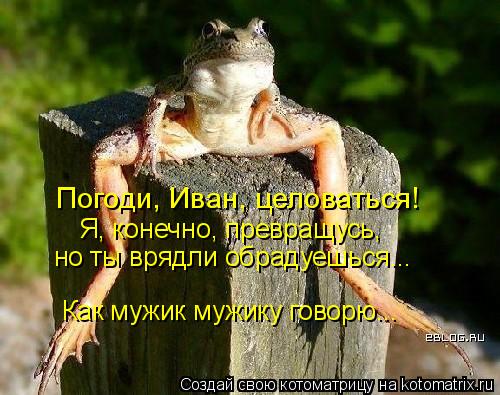 Погоди, Иван, целоваться! Я, конечно, превращусь, но ты врядли обрадуешься... Как мужик мужику говорю... Котоматрица: Погоди, Иван, целоваться! Я, конечно, превращусь, но ты врядли обрадуешься... Как мужик мужику говорю...