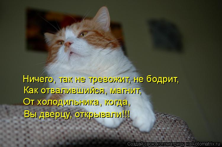 Котоматрица: Ничего, так не тревожит, не бодрит, Как отвалившийся, магнит, От холодильника, когда, Вы дверцу, открывали!!!
