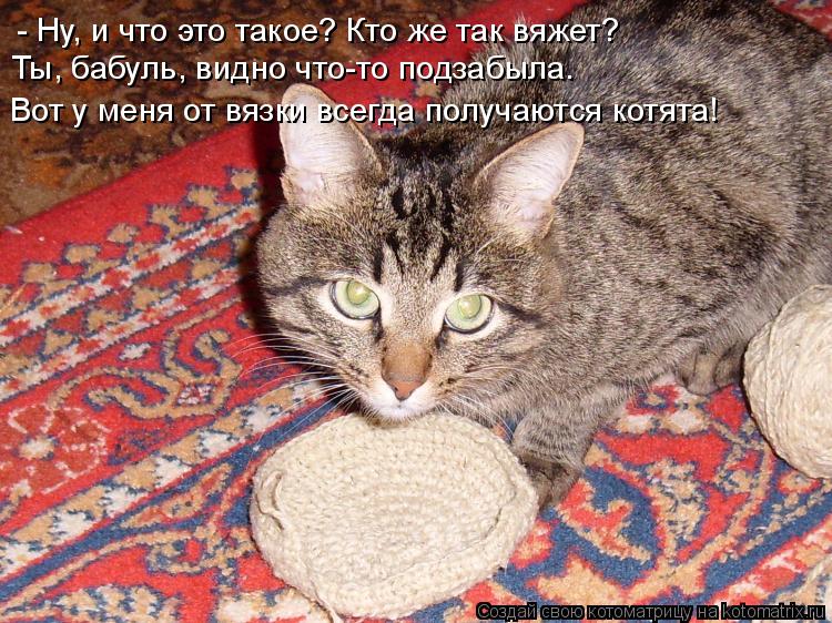 - Ну, и что это такое? Кто же так вяжет? Ты, бабуль, видно что-то подзабыла. Вот у меня от вязки всег... Котоматрица: - Ну, и что это такое? Кто же так вяжет? Ты, бабуль, видно что-то подзабыла. Вот у меня от вязки всегда получаются котята!