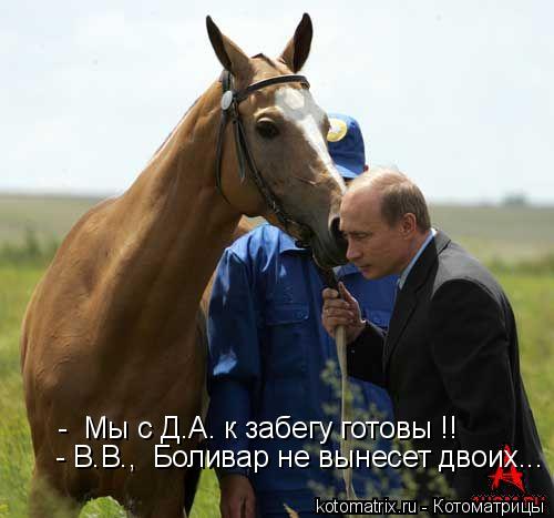 Котоматрица: -  Мы с Д.А. к забегу готовы !! - В.В.,  Боливар не вынесет двоих...