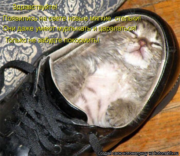 Котоматрица: Здравствуйте! Появились на свете новые мягкие  стельки! Они даже умеют мурлыкать и царапаться! Только не забудте покормить!