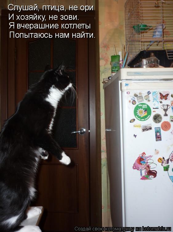 Котоматрица: Слушай, птица, не ори Слушай, птица, не ори И хозяйку, не зови. Я вчерашние котлеты Попытаюсь нам найти.