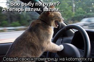 Котоматрица: Всю рыбу погрузил?  А теперь валим, валим...
