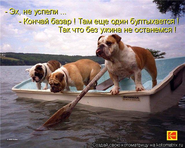 Котоматрица: - Эх, не успели ... - Кончай базар ! Там еще один бултыхается ! Так что без ужина не останемся !