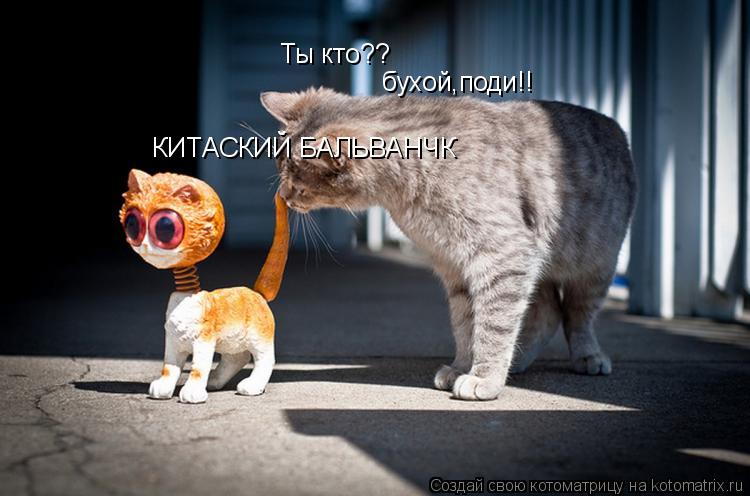 Котоматрица: Ты кто?? КИТАСКИЙ БАЛЬВАНЧК бухой,поди!!