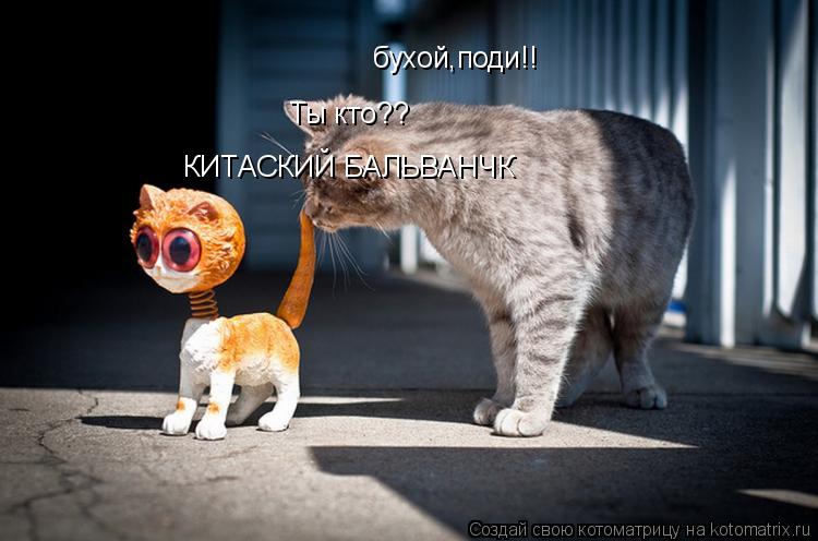 Котоматрица: КИТАСКИЙ БАЛЬВАНЧК бухой,поди!! Ты кто??