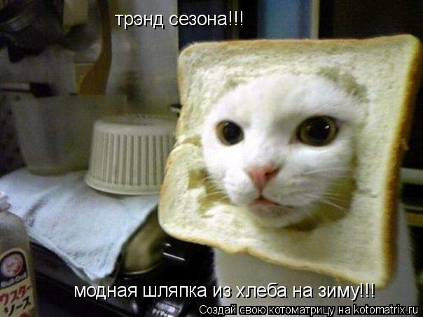 трэнд сезона!!! модная шляпка из хлеба на зиму!!!... Котоматрица: трэнд сезона!!! модная шляпка из хлеба на зиму!!!
