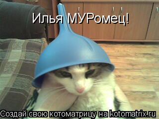 Илья МУРомец!... Котоматрица: Илья МУРомец!
