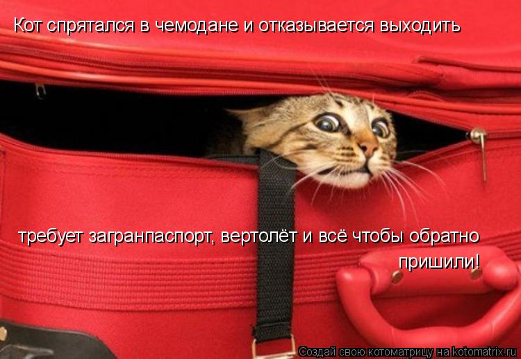 Кот спрятался в чемодане и отказывается выходить требует загранпаспорт, вертолёт и всё чтобы обратно ... Котоматрица: Кот спрятался в чемодане и отказывается выходить требует загранпаспорт, вертолёт и всё чтобы обратно пришили!