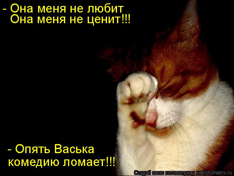 - Она меня не любит Она меня не ценит!!! - Опять Васька комедию ломает!!!... Котоматрица: - Она меня не любит Она меня не ценит!!! - Опять Васька комедию ломает!!!