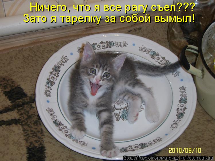 Ничего, что я все рагу съел??? Зато я тарелку за собой вымыл!... Котоматрица: Ничего, что я все рагу съел??? Зато я тарелку за собой вымыл!