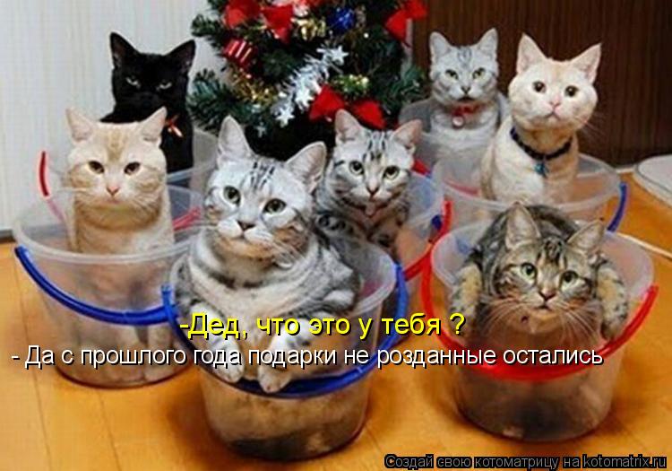 -Дед, что это у тебя ? - Да с прошлого года подарки не розданные остались... Котоматрица: -Дед, что это у тебя ? - Да с прошлого года подарки не розданные остались