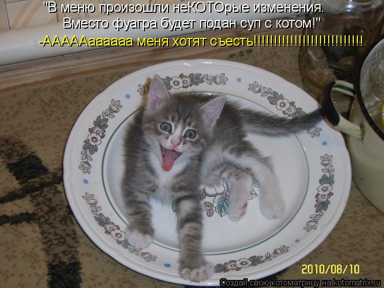 "В меню произошли неКОТОрые изменения. Вместо фуагра будет подан суп с котом!" -АААААаааааа меня хотя... Котоматрица: "В меню произошли неКОТОрые изменения. Вместо фуагра будет подан суп с котом!" -АААААаааааа меня хотят съесть!!!!!!!!!!!!!!!!!!!!!!!!!!!