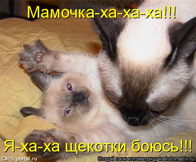 Мамочка-ха-ха-ха!!! Я-ха-ха щекотки боюсь!!!... Котоматрица: Мамочка-ха-ха-ха!!! Я-ха-ха щекотки боюсь!!!