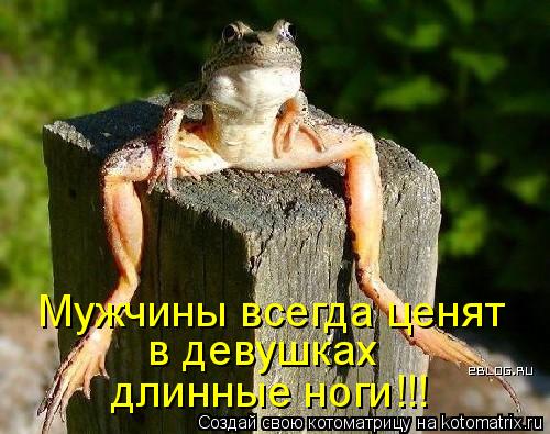 Мужчины всегда ценят в девушках длинные ноги!!!... Котоматрица: Мужчины всегда ценят в девушках длинные ноги!!!