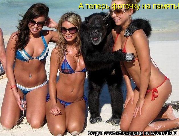 А теперь фоточку на память!... Котоматрица: А теперь фоточку на память!