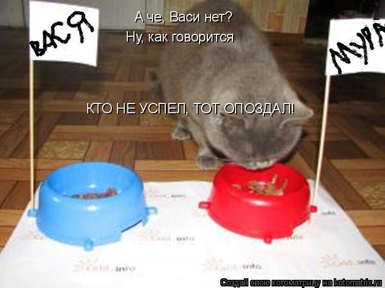 Котоматрица: А че, Васи нет?  Ну, как говорится КТО НЕ УСПЕЛ, ТОТ ОПОЗДАЛ!