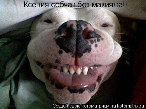 Котоматрица: Ксения собчак без макияжа!!