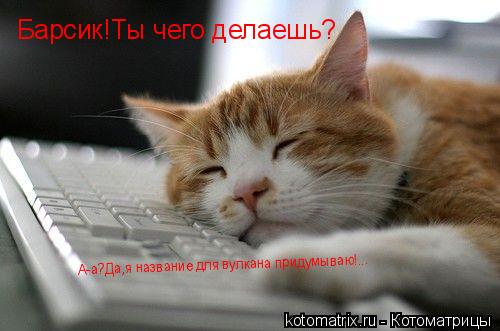 Барсик!Ты чего делаешь? А-а?Да,я название для вулкана придумываю!...... Котоматрица: Барсик!Ты чего делаешь? А-а?Да,я название для вулкана придумываю!...