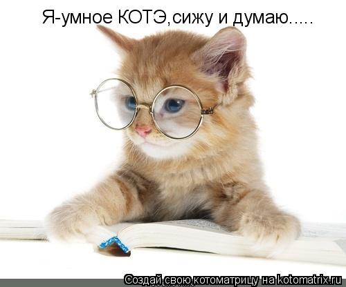 Котоматрица: Я-умное КОТЭ,сижу и думаю.....