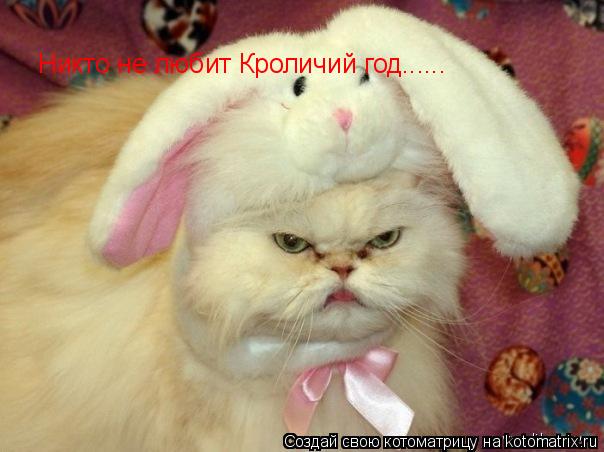 Котоматрица: Никто не любит Кроличий год......