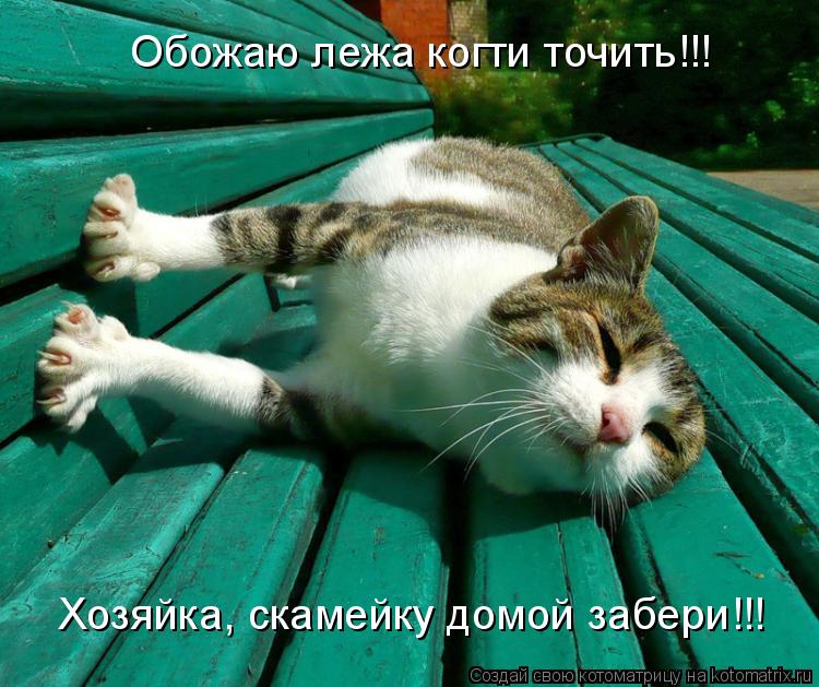 Обожаю лежа когти точить!!! Хозяйка, скамейку домой забери!!!... Котоматрица: Обожаю лежа когти точить!!! Хозяйка, скамейку домой забери!!!