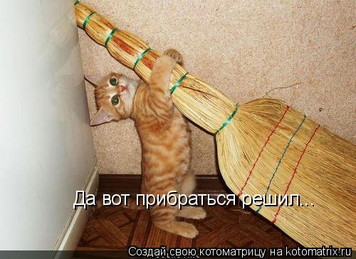 Котоматрица: Да вот прибраться решил...