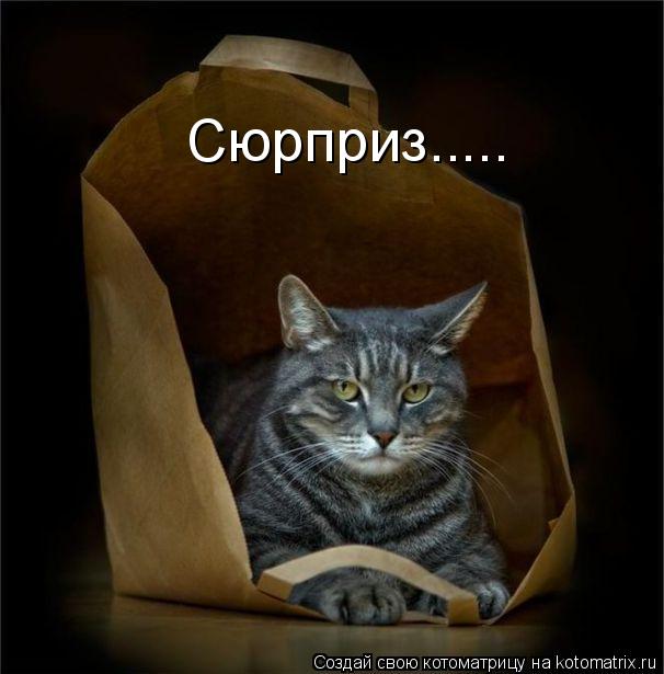 Котоматрица: Сюрприз.....
