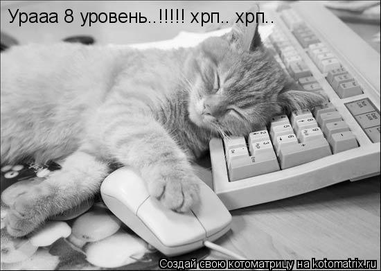 Котоматрица: Урааа 8 уровень..!!!!! хрп.. хрп..