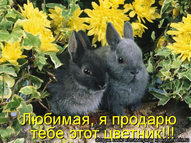 Любимая, я продарю тебе этот цветник!!!... Котоматрица: Любимая, я продарю тебе этот цветник!!!