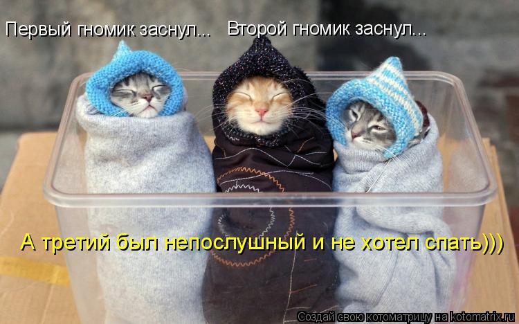 Котоматрица: Первый гномик заснул... Второй гномик заснул... А третий был непослушный и не хотел спать)))