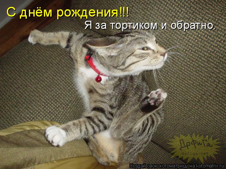 Котоматрица: С днём рождения‼! С днём рождения‼! Я за тортиком и обратно. Я за тортиком и обратно.