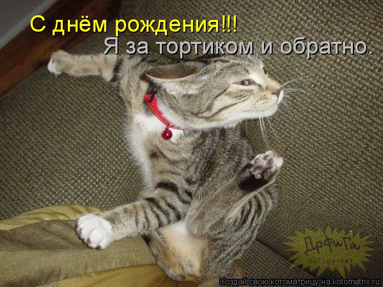 Котоматрица: С днём рождения‼! С днём рождения‼! Я за тортиком и обратно. Я за тортиком и обратно.