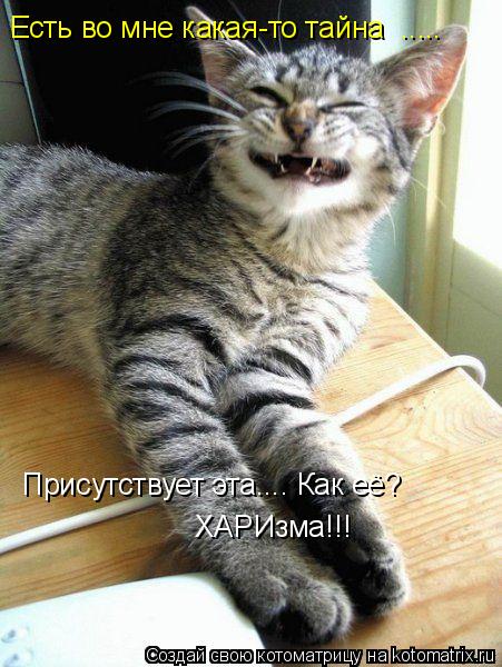 Котоматрица: Есть во мне какая-то тайна  ..... Присутствует эта.... Как её? ХАРИзма!!!