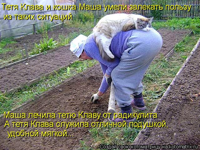 Котоматрица: Тетя Клава и кошка Маша умели звлекать пользу из таких ситуаций Маша лечила тетю Клаву от радикулита А тетя Клава служила отличной подушко