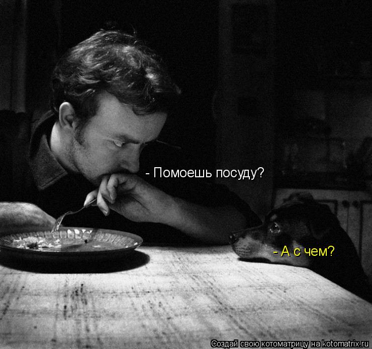 Котоматрица: - Помоешь посуду? - А с чем?