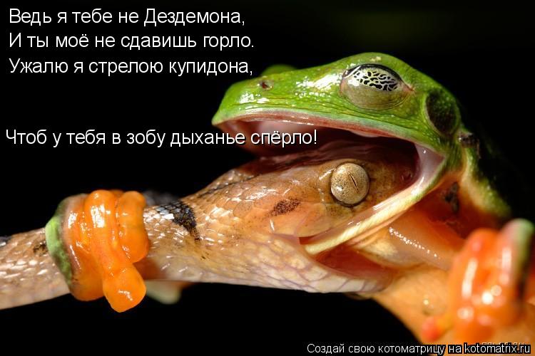 Котоматрица: Ведь я тебе не Дездемона, И ты моё не сдавишь горло. Ужалю я стрелою купидона, Чтоб у тебя в зобу дыханье спёрло!
