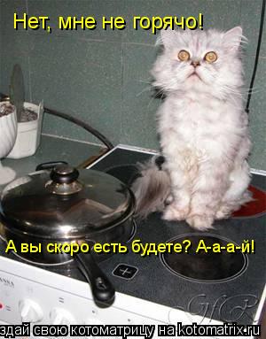 Котоматрица: Нет, мне не горячо! А вы скоро есть будете? А-а-а-й!