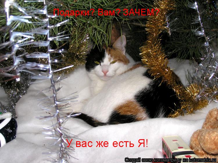 Котоматрица: Подарки? Вам? ЗАЧЕМ? У вас же есть Я!