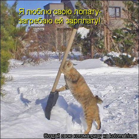 Я люблю свою лопату- загребаю ей зарплату!... Котоматрица: Я люблю свою лопату- загребаю ей зарплату!