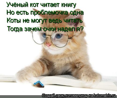 Котоматрица: Учёный кот читает книгу  Но есть проблемочка одна Коты не могут ведь читать Тогда зачем очки надел я?