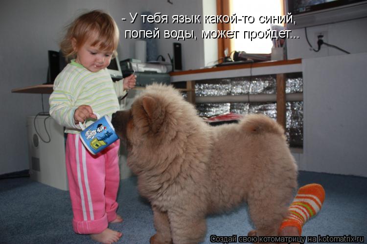 Котоматрица: - У тебя язык какой-то синий, попей воды, может пройдет...
