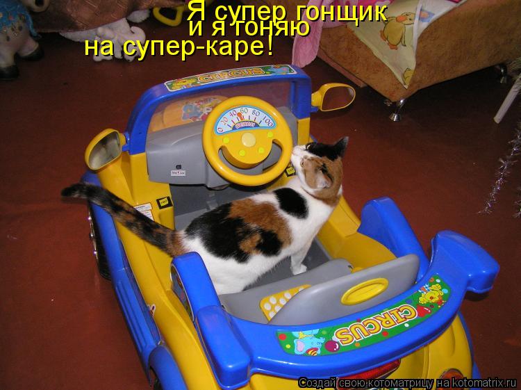 Котоматрица: Я супер гонщик и я гоняю на супер-каре!