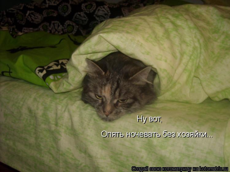 Котоматрица: Ну вот, Опять ночевать без хозяйки...