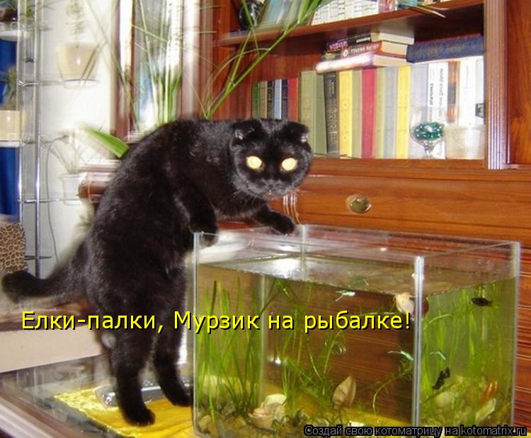 Котоматрица: Елки-палки, Мурзик на рыбалке!