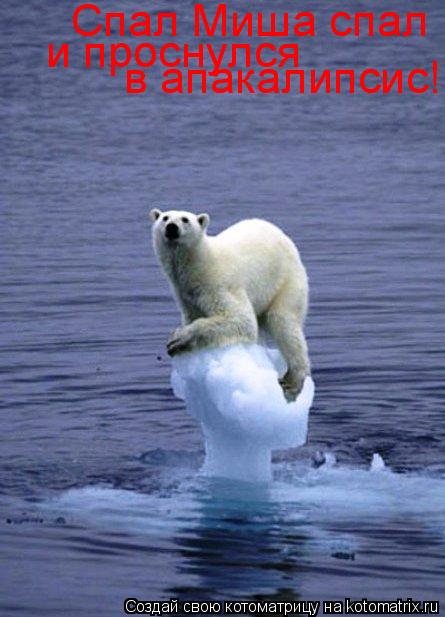 Котоматрица: Спал Миша спал и проснулся в апакалипсис!