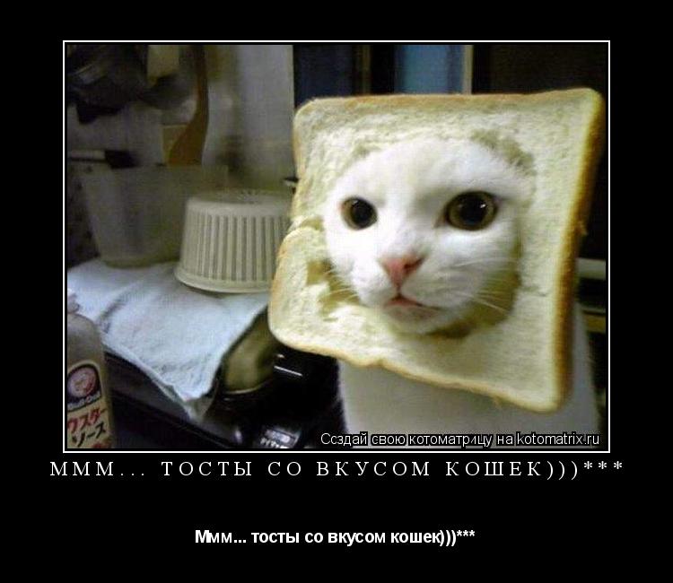Ммм... тосты со вкусом кошек)))*** Ммм... тосты со вкусом кошек)))***... Котоматрица: Ммм... тосты со вкусом кошек)))*** Ммм... тосты со вкусом кошек)))***