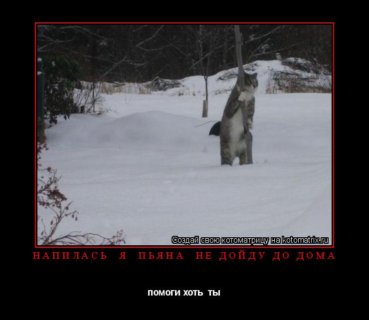 Котоматрица: напилась  я  пьяна  не дойду до дома помоги хоть  ты