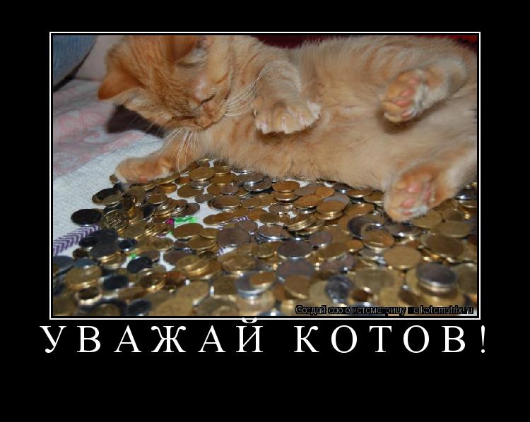 Уважай котов! ... Котоматрица: Уважай котов!