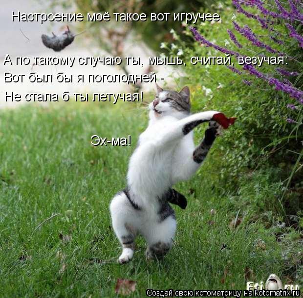 Котоматрица: Настроение моё такое вот игручее, А по такому случаю ты, мышь, считай, везучая: Вот был бы я поголодней - Не стала б ты летучая! Эх-ма!